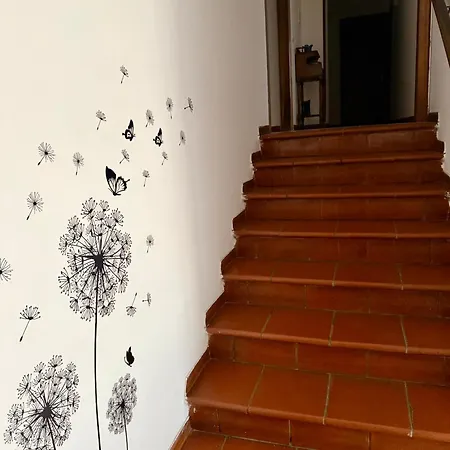 Casa Vacanze La Farfalla Di Vittori Fabiola Sorano  Exterior photo
