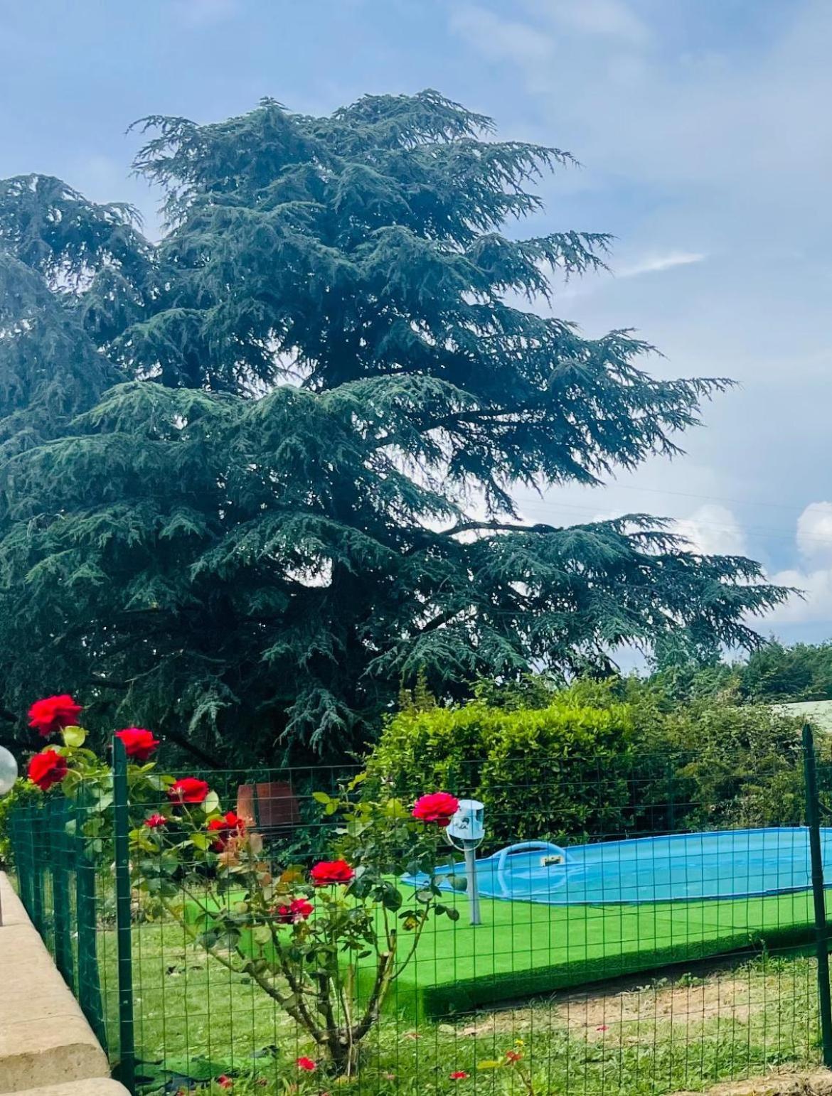 Ferienhaus La Farfalla Di Vittori Fabiola