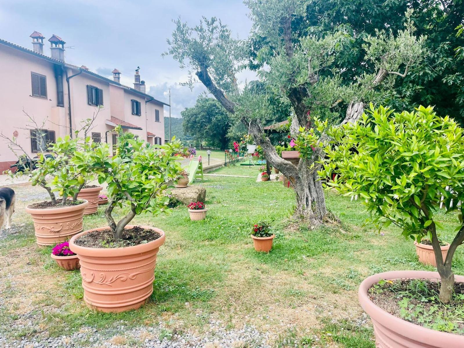 Ferienhaus La Farfalla Di Vittori Fabiola