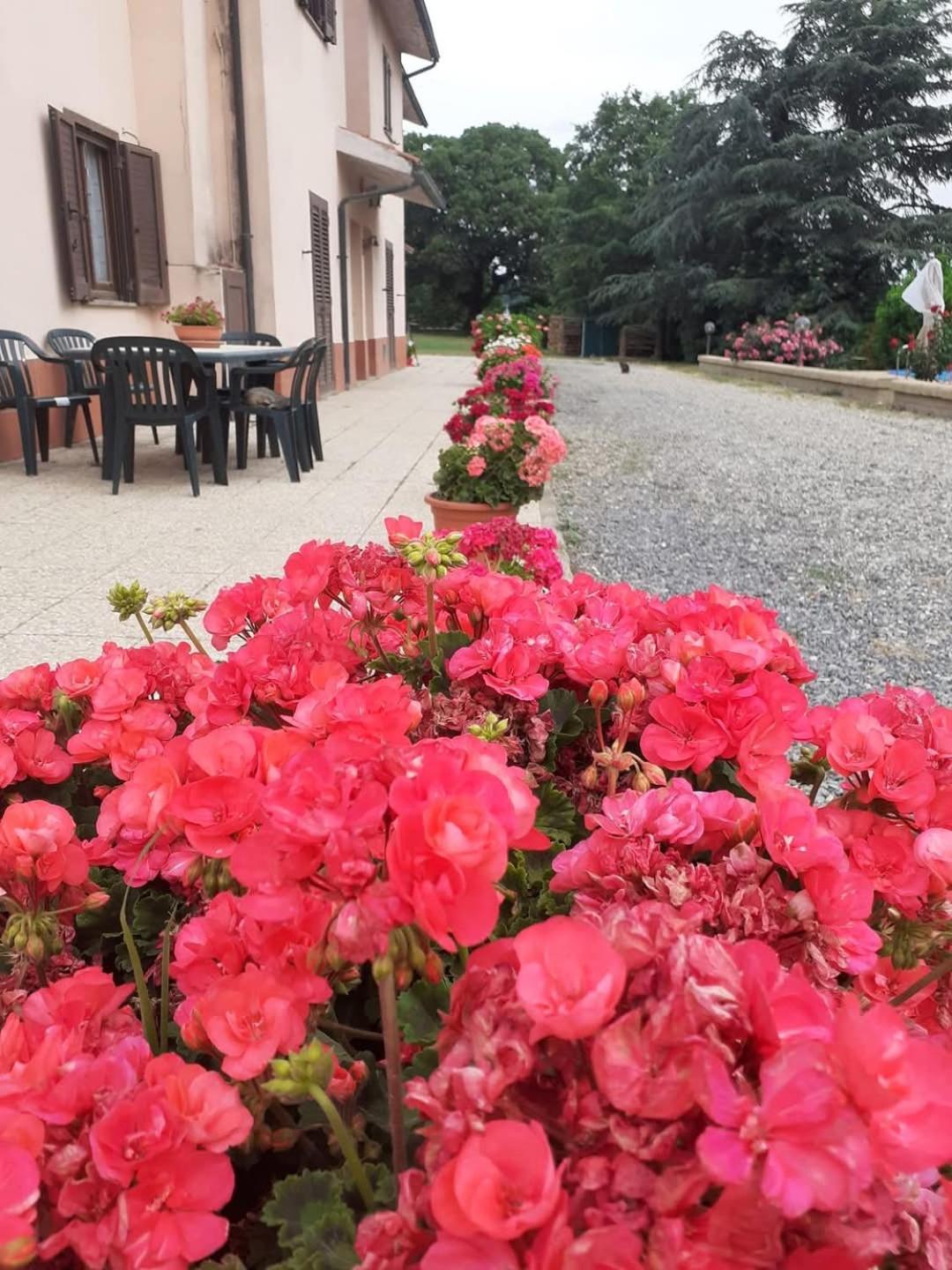 Holiday home La Farfalla Di Vittori Fabiola *