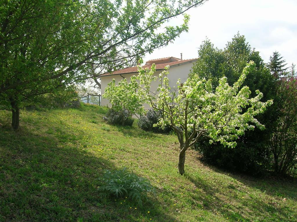 La Venarella *